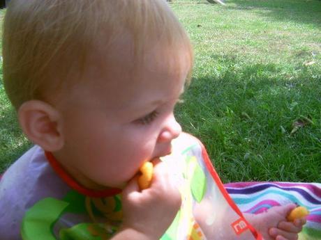 A tale of two parks #countrykids PICT0238