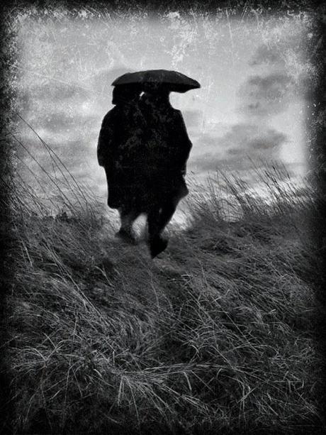 © Tracey Renehan © Tracey Renehan