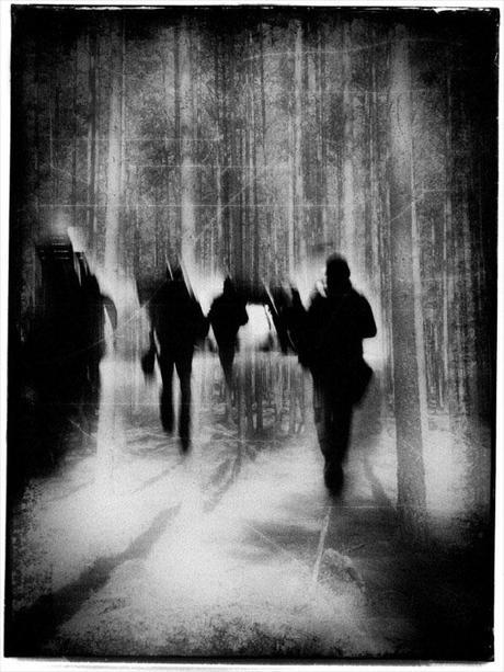 © Tracey Renehan © Tracey Renehan