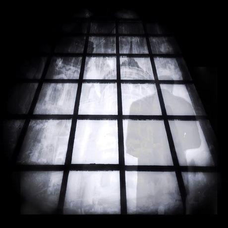 © Tracey Renehan © Tracey Renehan