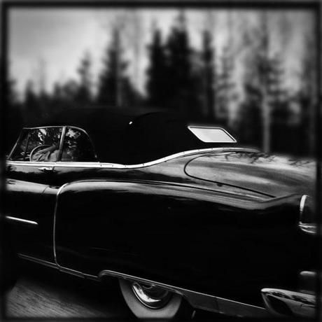 © Tracey Renehan © Tracey Renehan