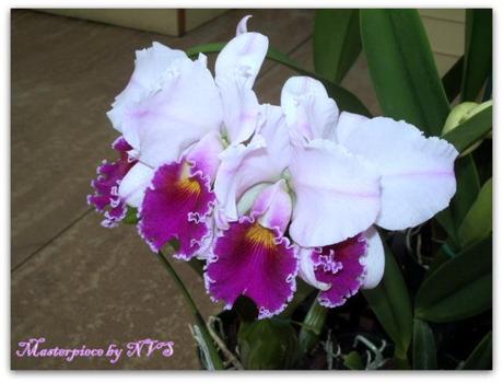 Source of inspiration. 