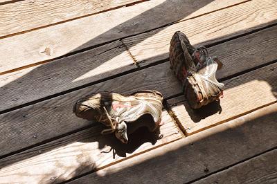 In the Late July Garden