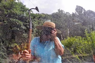 In the Late July Garden