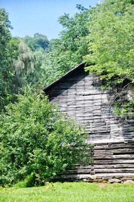 In the Late July Garden