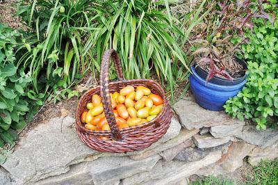 In the Late July Garden