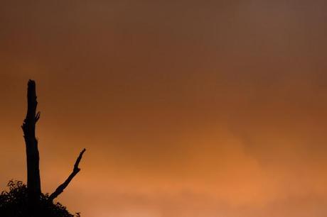 red sunset overland track tasmania