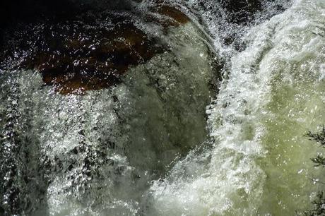 fergusson falls overland track