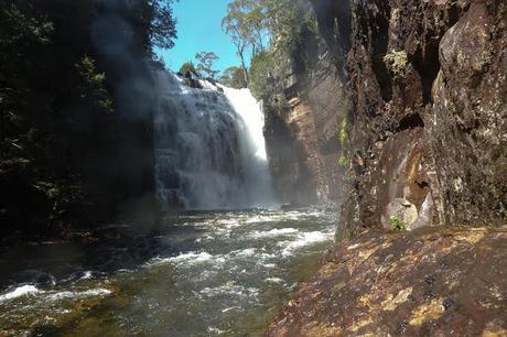 hartnett falls tasmania