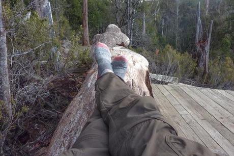 lying on log outside bert nichols hut overland track