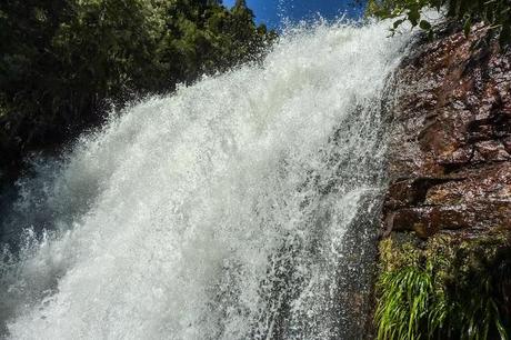 fergusson falls overland track