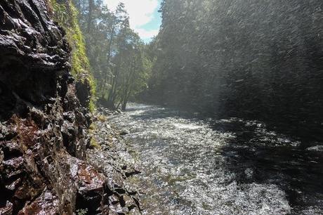 mist in air from hartnett falls