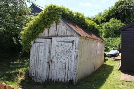 Cassiefairys summer photos overgrown beach hut boat house suffolk coast