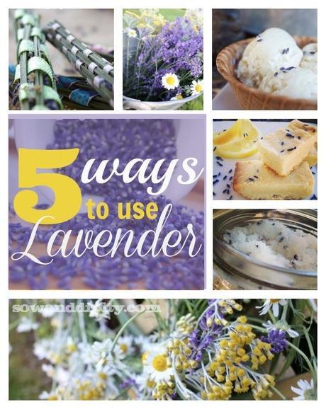 5 ways to use lavender