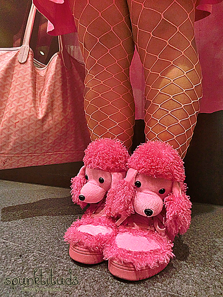 Poodle Shoes