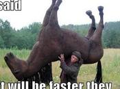 Day: Take Horse They Said