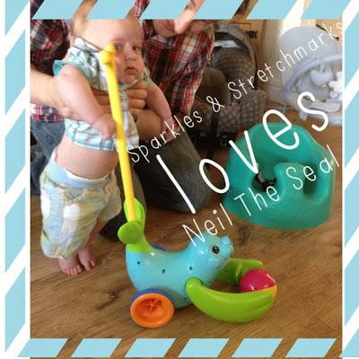 Mummy Mondays: Tomy Neil The Seal REVIEW