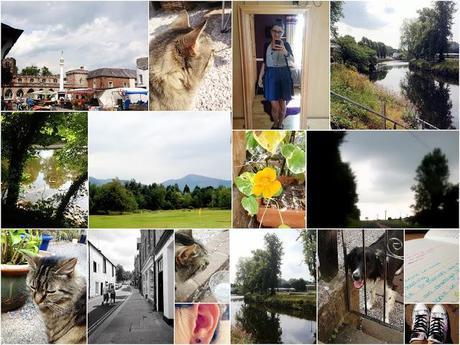 Photographer for the day Photographer for the day