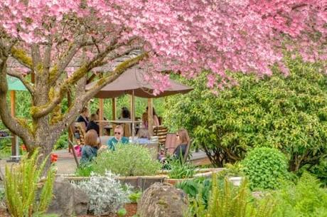 Blooming Hill Vineyard Tasting Room