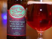 Beer Review Dogfish Head Sixty-One