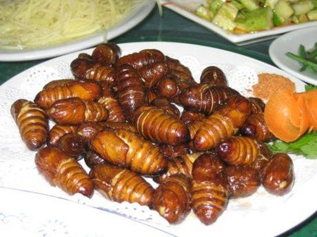 Yes, really - silkworm pupae!