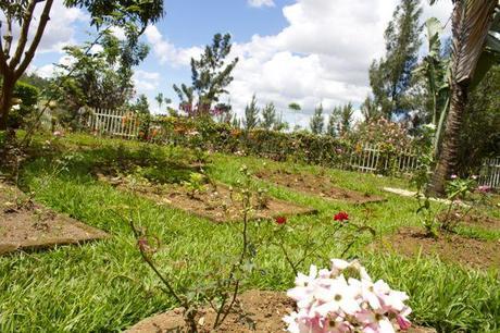 Memorial rose garden at the Kigali Genocide Memorial Centre in Rwanda