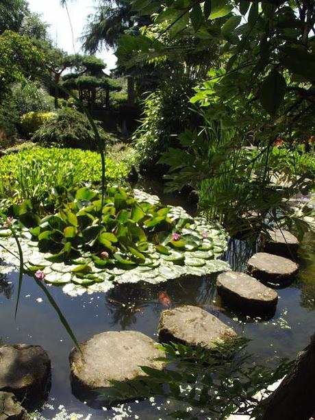 Lifestyle - Japanese Gardens