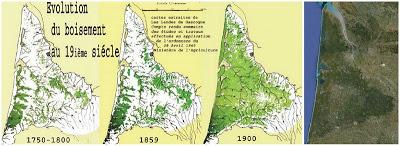 Chambrelent: the architect of the Landes forests