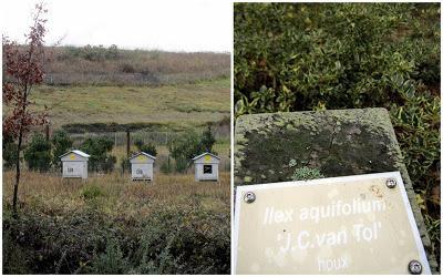 Le Bourgailh: Pessac's innovative green belt eco-site