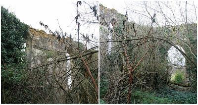 Saint-Jean-des-Palus chapel: deteriorating by the day