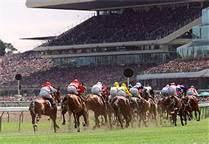 melb cup