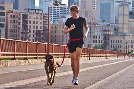Stunt Runner Hands-Free Dog Leash