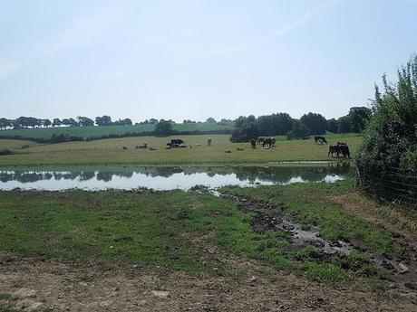 Stone Circle Walk