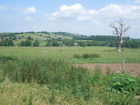 Stone Circle Walk