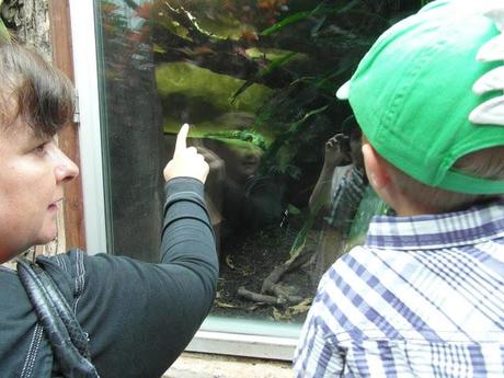 When I Went To Brixham, Devon