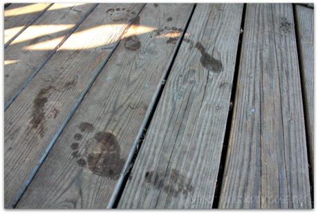 Footprints on the porch