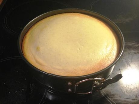 freshkly baked new york style cheesecake vanilla for 4th of july