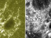 NASA’s IRIS Sends First Amazing Close-up Photos