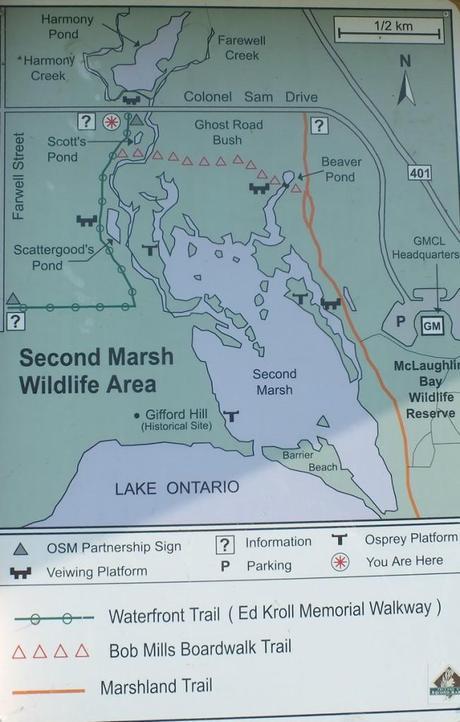 Second Marsh map - oshawa - ontario