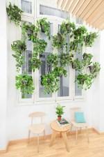 2Day Languages by Masquespacio