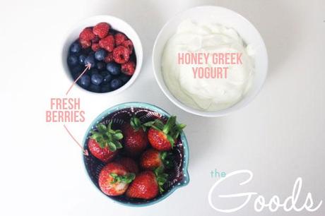 healthy greek yogurt popsicles