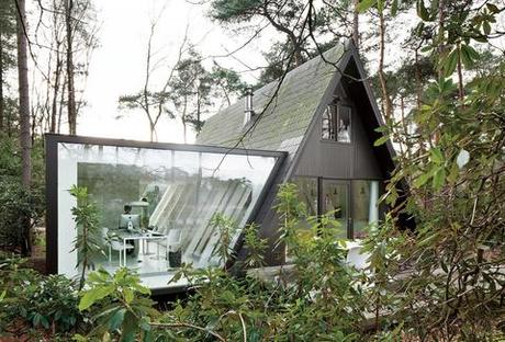 Belgian office home forest