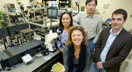 LLNL engineer Tiziana Bond (center) is holding an etched silicon wafer with the nanopatterns. Second row from left to right: Bond's nanophotonics and plasmonics research team members from the LLNL Engineering Directorate Elaine Behymer, Allan Chang and Mihail Bora. (Credit: Lawrence Livermore National Laboratory)