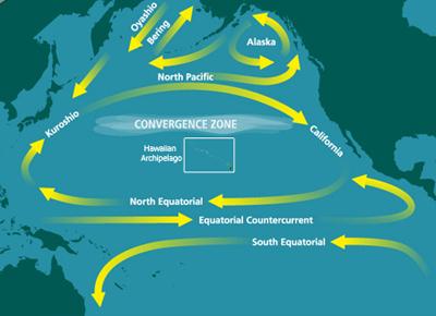 English: Map of the North Pacific Subtropical ...