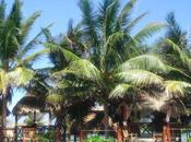 Your Mind, Will Hold Hand