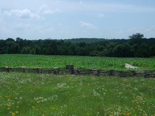 Outing to Wilson's Creek National Battlefield (pic heavy)