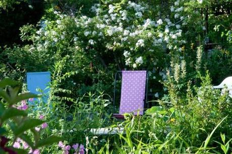 Chairs to relax on at a Stockholm allotment