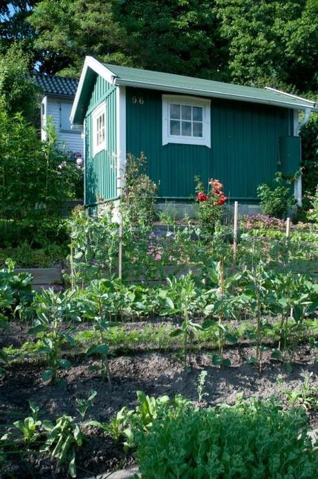 Arstalunden allotment in Stockholm