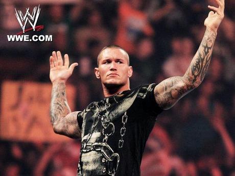 randy-orton-fan-attack