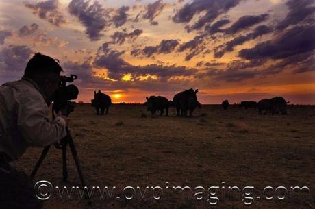 Dave Estment filming rhino at sunset
